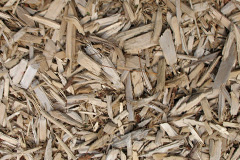 biomass boilers Kendoon